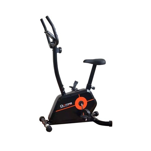 Magnetic Up Right Bike