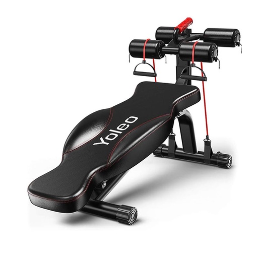Dumbbell Sit Up Bench