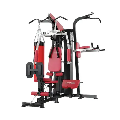 3 Station Home Gym